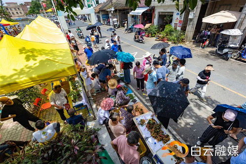 太皮了 全城新宠,竟是ta