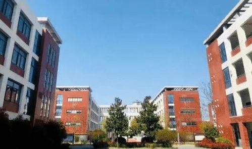 金鹏 山河系 惊艳 金鹏 山河赋中轴头排观景洋房,即将震撼加推