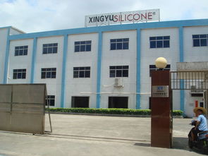 东莞市农村 社区 集体资产管理网 桥头镇大洲社区第二工业区25号 兴域厂