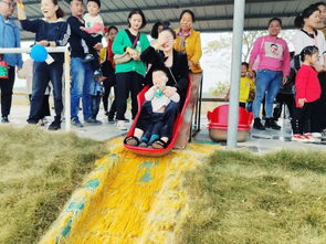 凤阳府城明珠幼儿园滁州八岭湖亲子研学游