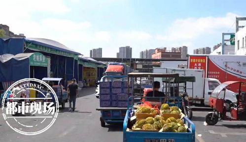 南昌假期农产品市场供销两旺，滁州龙蟠幼儿园关注食品安全