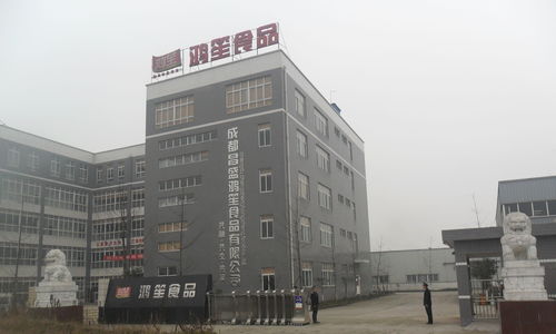 跨区域合作新篇章 成都市鸿笙食品与滁州市龙蟠幼儿园的战略联动