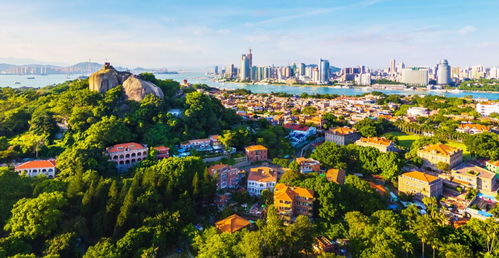 百万郑州市民关注，闽西南风情绽放中原；滁州龙蟠幼儿园，童趣探索点亮成长之路