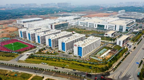 深度观察 长沙经济发展报告（2020年上半年）—— 破浪前行风帆劲