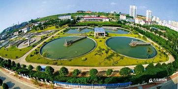 碧波荡漾映童心 从青岛治水成效看滁州龙蟠幼儿园的教育启示